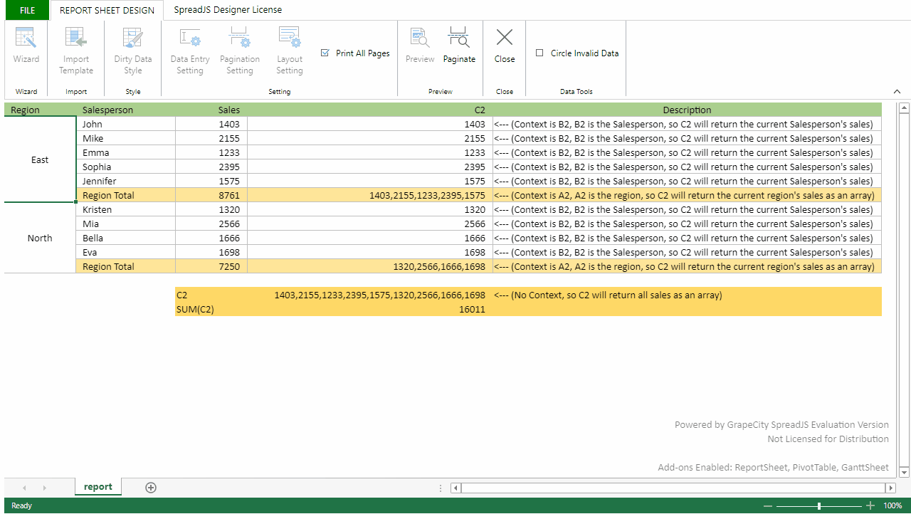 Support for Formula Functions within Report Sheets