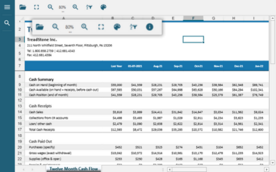 Configure the toolbar of the JavaScript Data Viewer to show, hide, or reorder buttons
