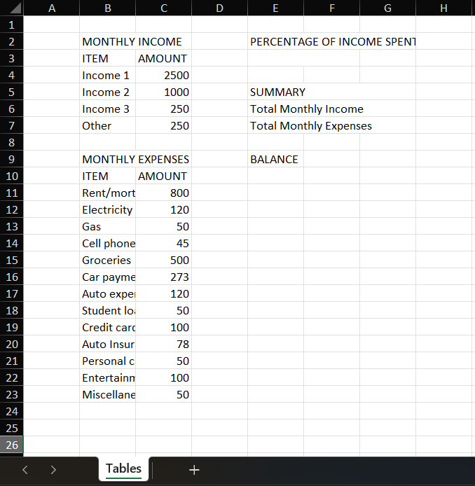 Raw Budget Data Worksheet Example