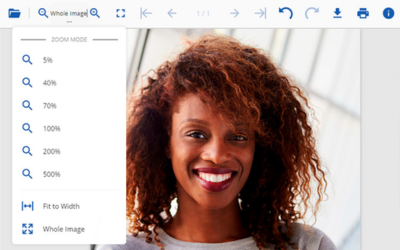Flexible zoom functionality in JavaScript Image Viewer | Developer Solution