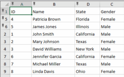 Set Pinned Columns or Rows in a .NET WinForms Spreadsheet