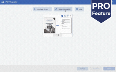 Allow Users to Merge PDFs via the PDF Organizer UI in the Professional DsPdfViewer