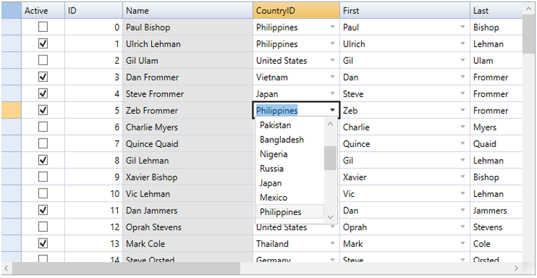 WPF DataGrid Custom Cell Editors