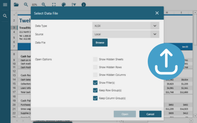 Open and view local spreadsheet files directly in this JavaScript data file viewer control